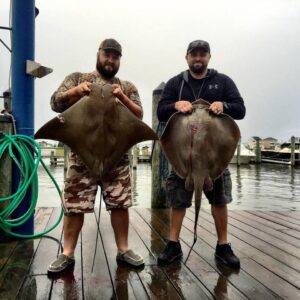 13592658_1042767162439428_4355699158078748989_n