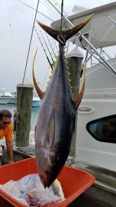 13617481_10208147552544323_1718962554_n