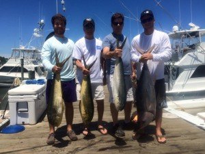 13537568_1008061875910359_1242572616413833686_n