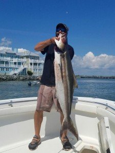 14183749_10153652000687191_6266957299469827906_n