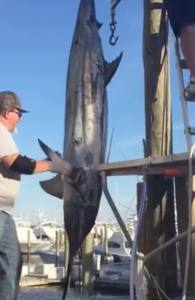 Screenshot 2016-08-25 00.26.48