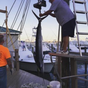 14095993_867515290016453_1883344506874684376_n