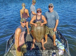 Resized952016082095091823-01