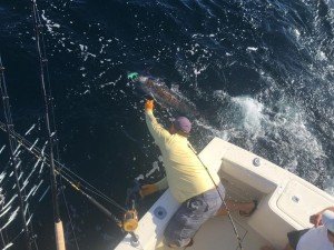 14102734_10208869233465690_5648028429603720896_n