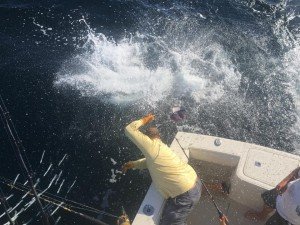 14063807_10208869214265210_2538191065461413524_n