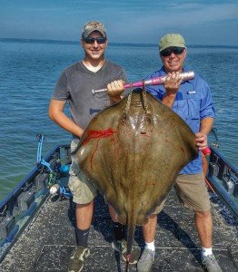 Resized952016081995100315-01