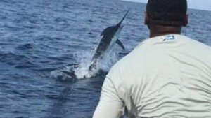 14102222_1566406116997574_4899305333807655958_n