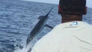 14079709_1566406130330906_3551637379575357396_n