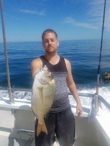 13900109_1521808247844667_3735013691845451255_n