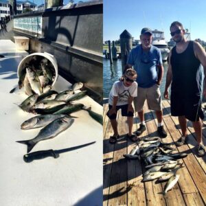 13907119_1070934886289322_6028686398281029157_n