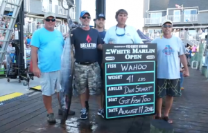 13962494_956546581123096_8327680495815189942_n