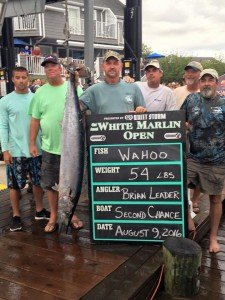 13925184_1223330317700798_4253173541073084462_n