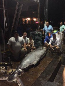 13942629_1090556281024812_893021985_n