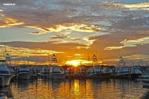 13909003_10153857214341448_7591348247861020908_o