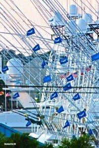 13914055_10153854848531448_4344356490878811765_o