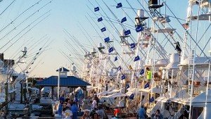 13934856_10153854719186448_9100074124007390123_n