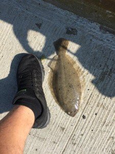 13936664_10205579303321953_1327942014_n