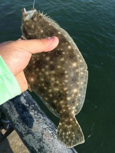 13884330_10205579303521958_1261511336_n