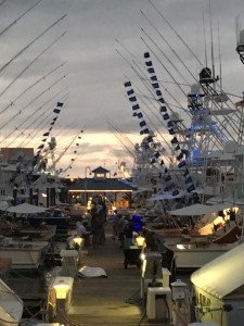 13900194_10210113573459561_1396929630603882084_n