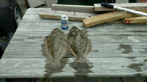 13923797_517831998411188_6852063997571083803_o