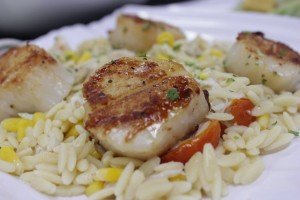 13735135_1745348182344168_4939610314073598828_o