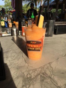 13450995_1735598416652478_2540945453932689671_n