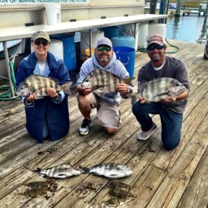 14484723_1111093828940094_5514586629262978754_n