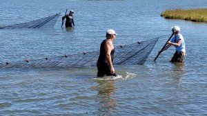 14455986_10208823477042013_710404686_o