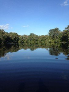 14495291_559904637535044_3864931939274750925_n