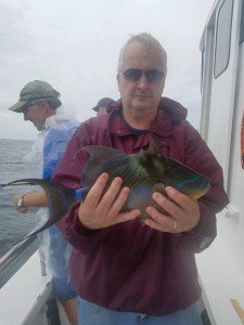 14354883_1564348366923988_3770901755843514387_n