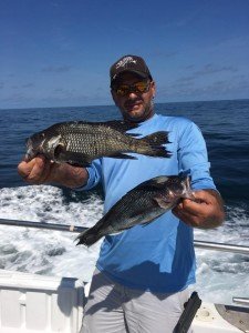 14292489_10157668567445105_5136988585742859585_n