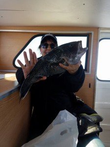 14632950_1612789315413226_5413296603598329859_n