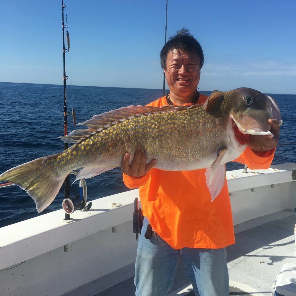 So Many Bottom Fish, So Little Time