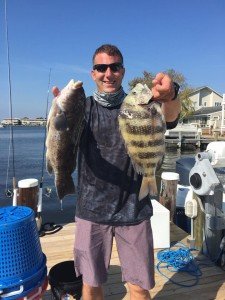 14666112_1284183718281274_5890674190801570613_n