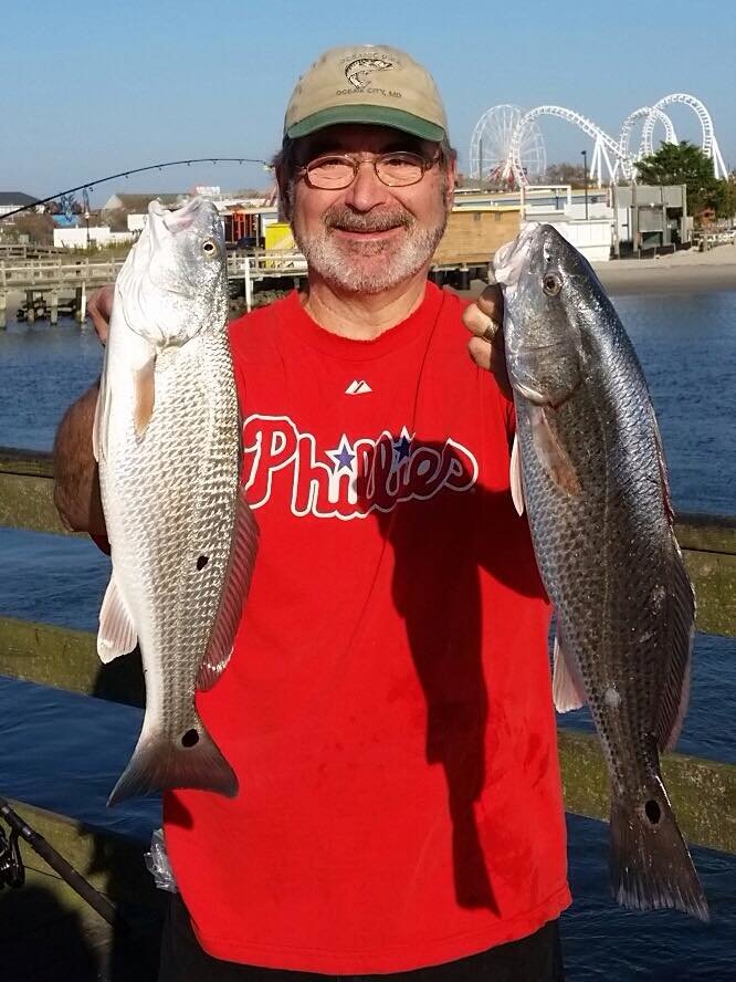 Puppy Drum and HUGE Sheepshead