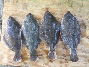 14725596_10210397808772763_7973879227075295821_n