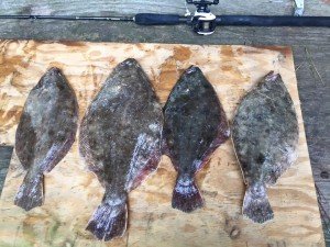 14492524_10210302027138282_6467605590590883921_n