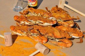 10177930_1068647589827855_7929629476111613290_n