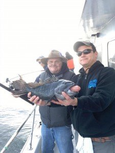 15284189_10158028366625105_3061720651830622869_n