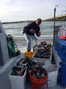 15284839_10158028693045105_7481235106616455706_n