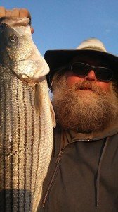 15179156_569886253205762_3936412385559171886_n