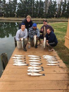 15240307_10100634320603743_1011999323_n