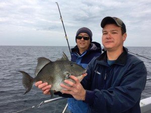 15202759_10158015841615105_4982483229023275657_n