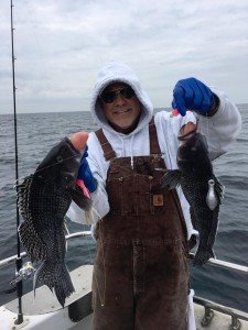 15171162_10158015841150105_1635002091007931655_n