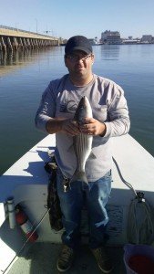 15094868_567378230123231_2956232165359520378_n