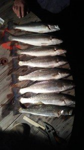 15170937_567378490123205_1758617705587370497_n