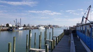 12715739_1072818402740524_8723522230997024793_n