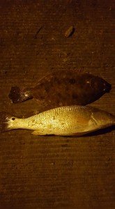 14720404_10211139672637688_6296904880598031492_n