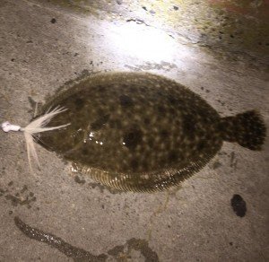 14906945_10210586165441562_7234886146924417819_n