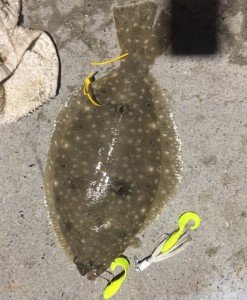 14907224_10210586165281558_2087776481998049054_n